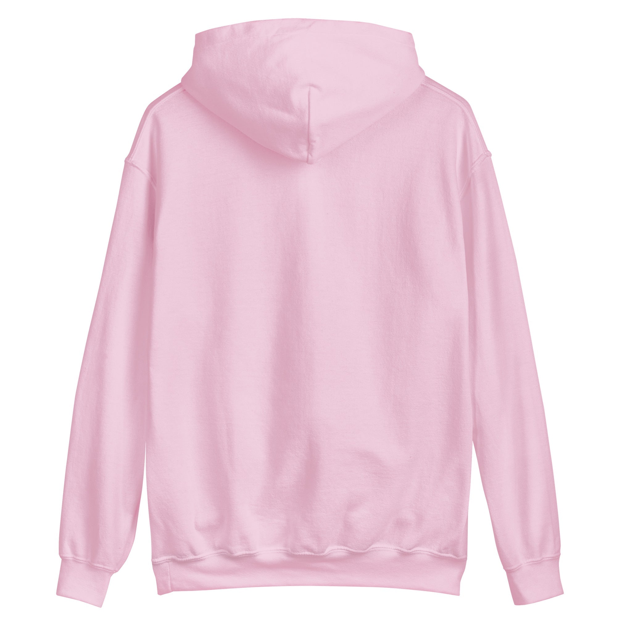 Mount Fuji Sakura Landscape Hoodie - Kruv Kult